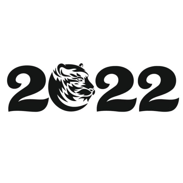 2022 год с головой тигра