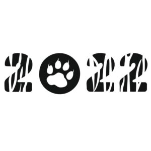 2022 год с лапой тигра