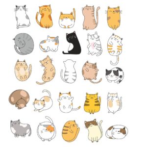 Котики