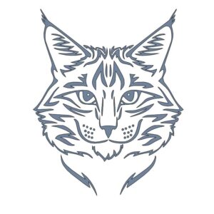 Кошка мейн-кун