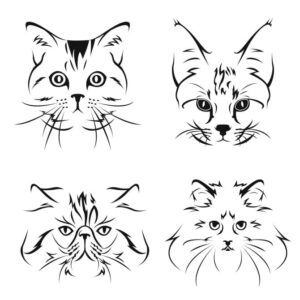 Кошка