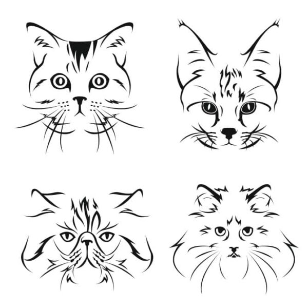Кошка