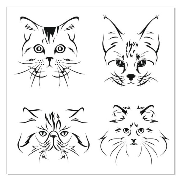 Рисунки кошек