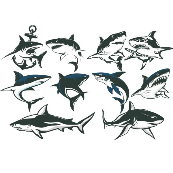Рисунки акул