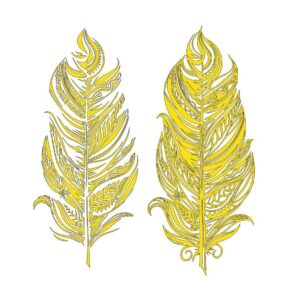 Рисунок пера