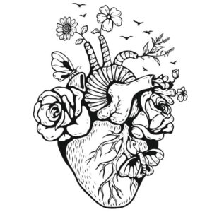 Рисунок сердце