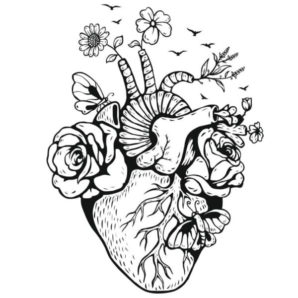 Рисунок сердце