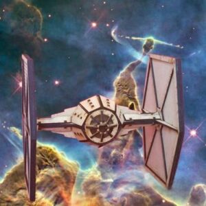 TIE Fighter