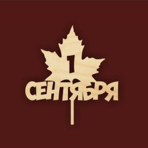 Топпер 1 сентября