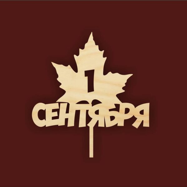 Топпер 1 сентября
