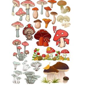 Векторные рисунки мухоморов и грибов